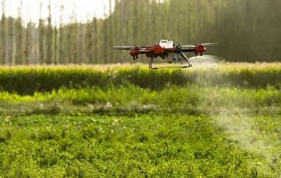 【產業研究】農產品加工龍頭企業培育的思考與建議