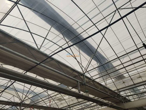 海榮模塊溫室報(bào)價(jià) 山東專(zhuān)業(yè)的海榮模塊溫室 壽光市隆農(nóng)大棚保溫材料廠