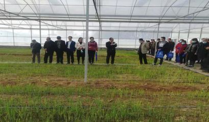 開(kāi)展&ldquo;訂單式&rdquo;科技服務(wù) 助力鄉(xiāng)村振興產(chǎn)業(yè)發(fā)展