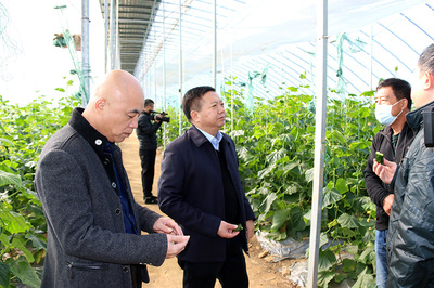 陳遠(yuǎn)明深入非公有制企業(yè)走訪調(diào)研