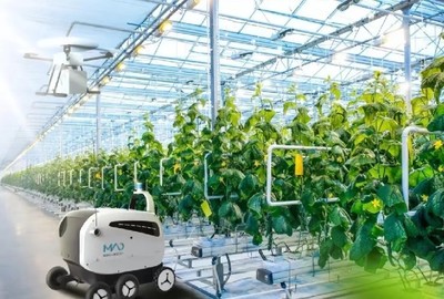 漢中pc陽光板智能溫室大棚新報價