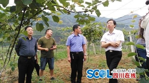 因地制宜因戶施策 農業科技服務為脫貧奔康提供一把金鑰匙