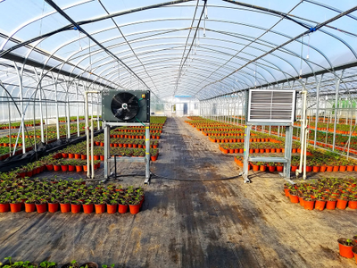 飛龍農業溫控:為中國農業溫控插上科技的翅膀