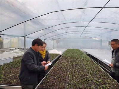 崇仁縣人民政府 工作動態 心系民生送關懷 科技溫情暖人心--崇仁科技特派員深入一線指導農作物防寒防凍工作