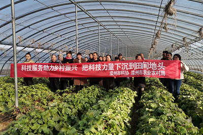 灤州市科協(xié)開展科技下鄉(xiāng)助農(nóng)服務(wù)活動