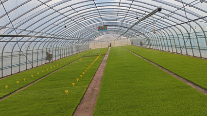 稼穡篤行|前進(jìn)農(nóng)場(chǎng)農(nóng)業(yè)科技服務(wù)中心