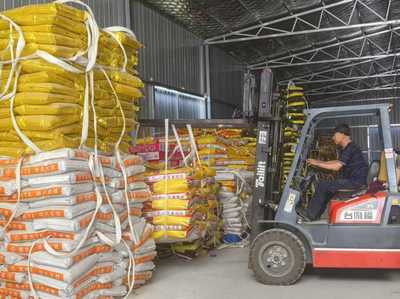 綠色農(nóng)資進萬家 科技服務助豐收--青島市供銷社開展2025年綠色農(nóng)資下鄉(xiāng)活動