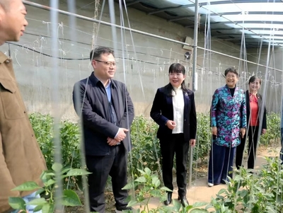 蚌埠市&ldquo;巾幗科技助農(nóng)直通車&rdquo;開進(jìn)五河縣朱頂鎮(zhèn)