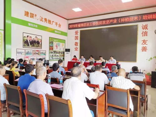 2019年中農(nóng)富玉大事記 不忘初心,牢記使命,再創(chuàng)輝煌