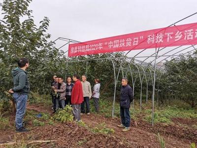 科技賦能鄉(xiāng)村振興——市科技局組織開(kāi)展科技特派員下鄉(xiāng)服務(wù)活動(dòng)