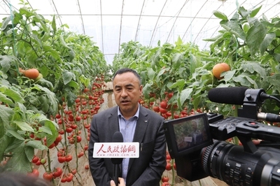 深耕研發(fā) 孕育希望——壽光市政協(xié)委員劉樹(shù)森的“種業(yè)夢(mèng)”與農(nóng)業(yè)科技服務(wù)