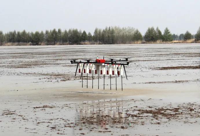 《“十三五”農業農村發展成就斐然，農業機械化與科技服務引領現代農業新篇章》