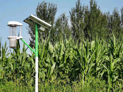 致敬耕耘者！「盤點2021」農業科技公司的情懷與擔當